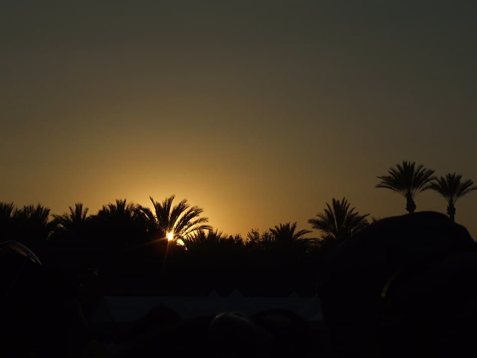Palm trees and mountains in the Coachella Valley at sunset, a classic snowbird destination view