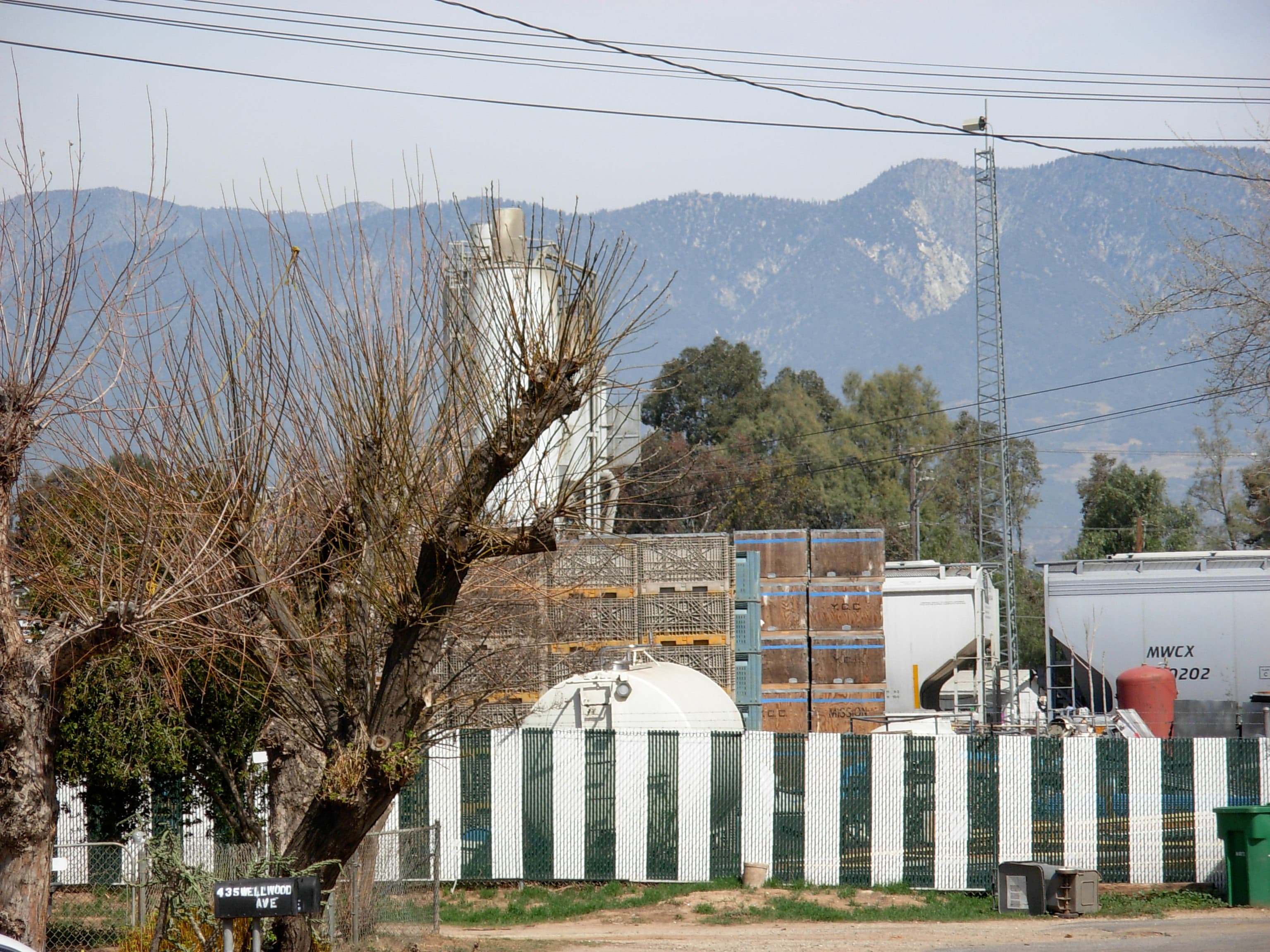 The Orchards