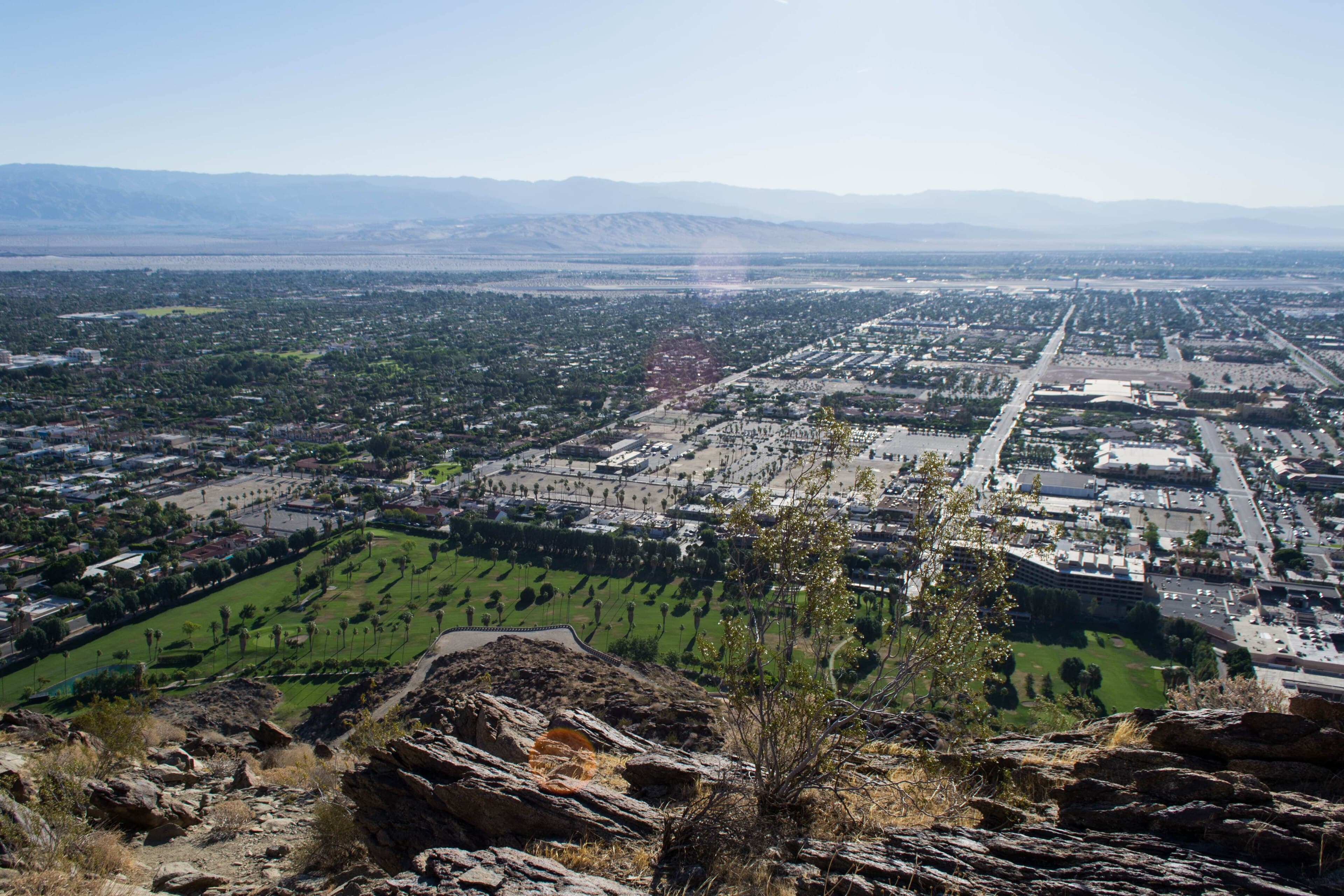 The Mesa