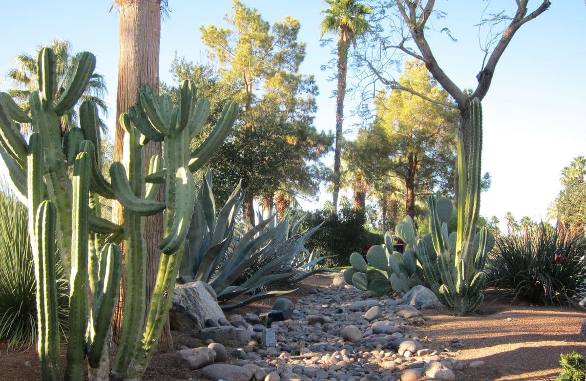 Oasis Country Club